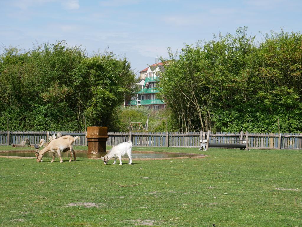 Huize De Duinen Aparthotel Bergen aan Zee Exteriör bild