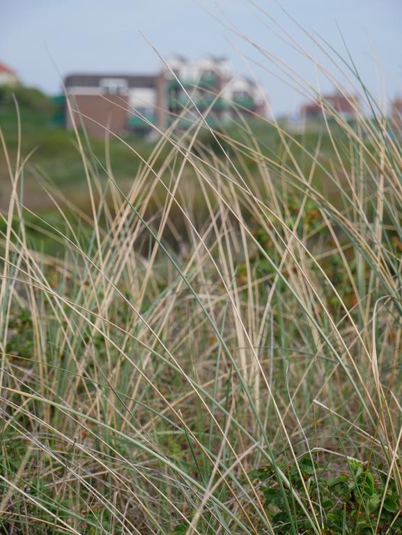 Huize De Duinen Aparthotel Bergen aan Zee Exteriör bild