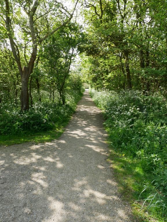 Huize De Duinen Aparthotel Bergen aan Zee Exteriör bild