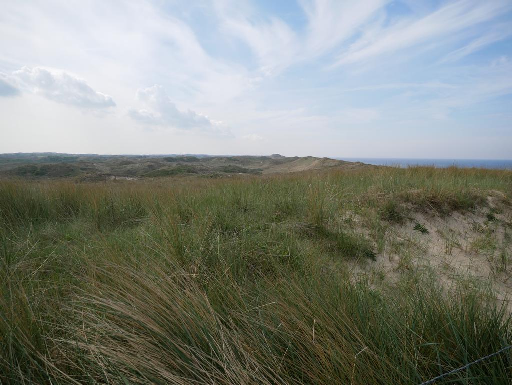 Huize De Duinen Aparthotel Bergen aan Zee Exteriör bild